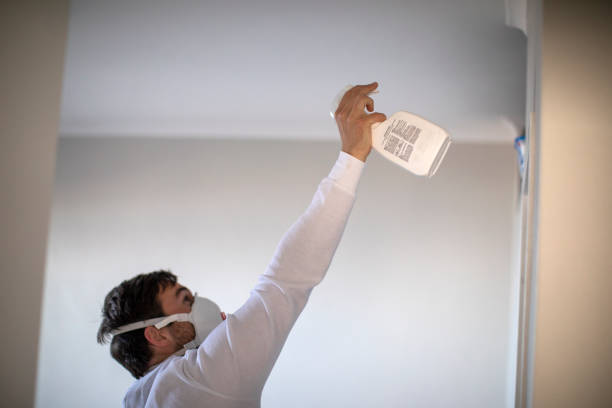Best Black Mold Removal  in Fruitland, ID